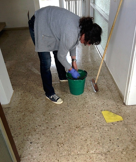 cleaning-lady (3)