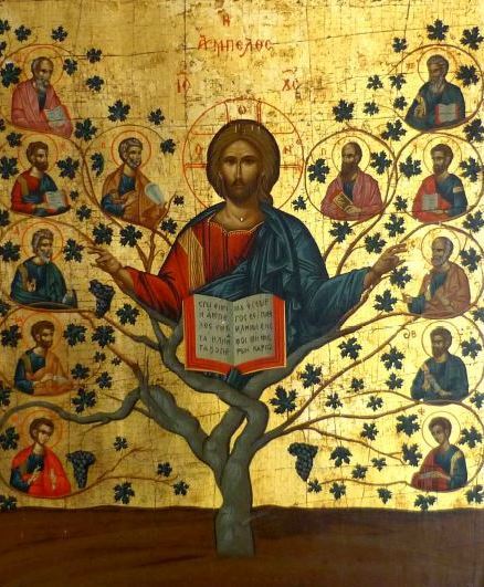 ob_566b42_le-vrai-cep-v2