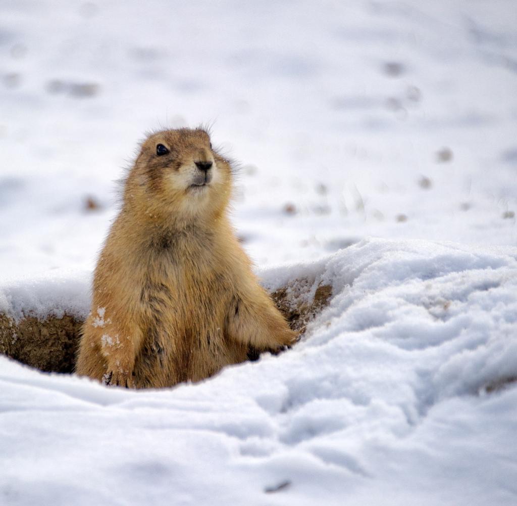 Cor-Wetter-2-DW-Bayern-Magdeburg-jpg