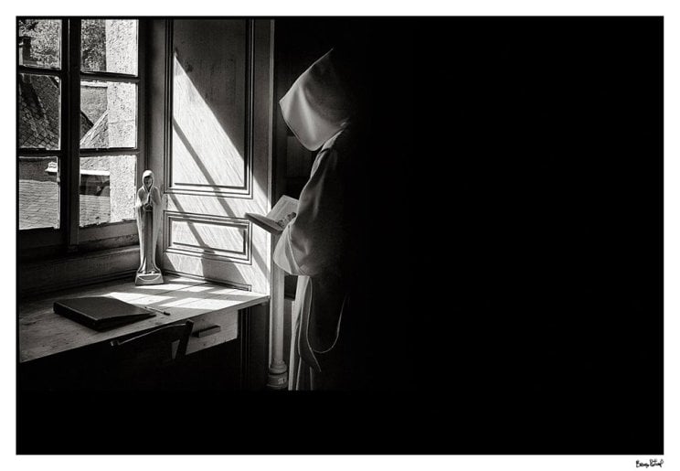 252511067_1490078741367173_9139794877544729253_n