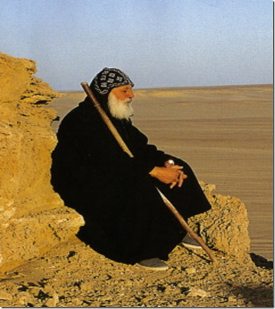 257658035_1497451447296569_1335438134048458397_n